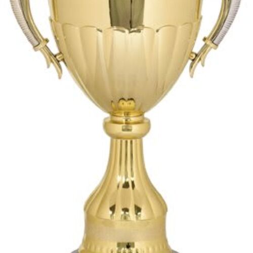 CPC203G - 14 3/4" Gold/Silver Plastic Completed Cup Trophy Thumbnail