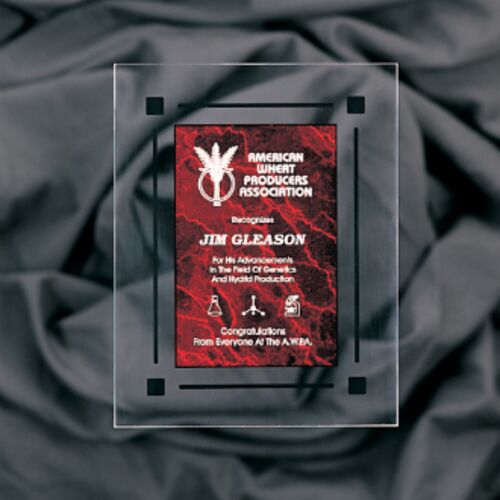 CPQ7RM 7" x 9" Marble Acrylic Clear Plaq Thumbnail